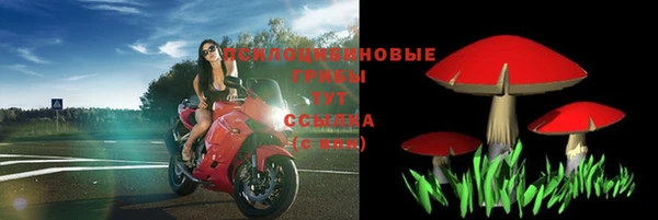 прущие крисы Майский