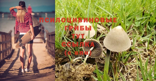 дмт Магас