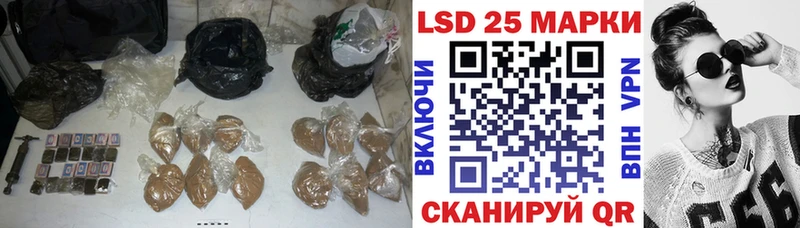 как найти закладки  Оса  ЛСД экстази ecstasy 