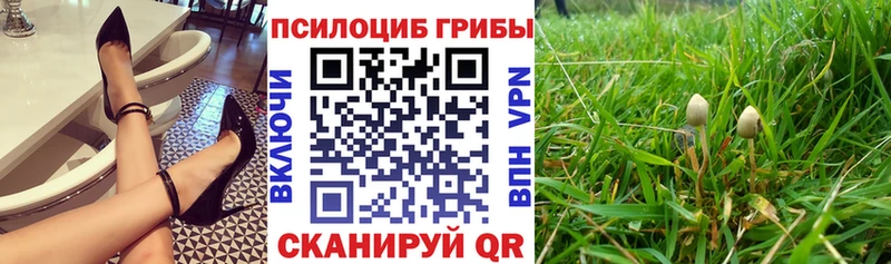 Псилоцибиновые грибы Magic Shrooms  МЕГА онион  Оса  купить наркотики цена 