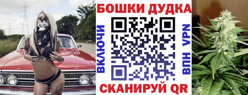 Каннабис ГИДРОПОН  сколько стоит  Оса 